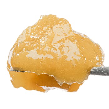Honey Wine - West Coast Cure 1g Live Resin Wet Badder